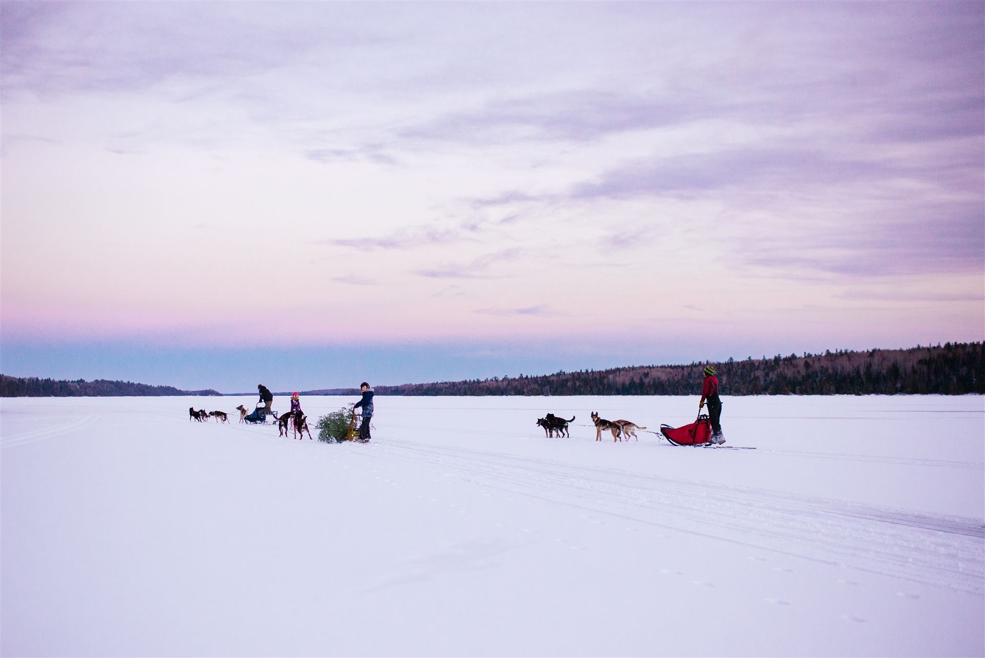 Horse-drawn sleigh in Northwestern Ontario winter